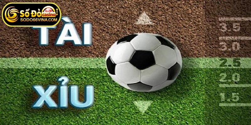 Tài xỉu 2 trái là một trong những kèo phổ biến trong cá cược