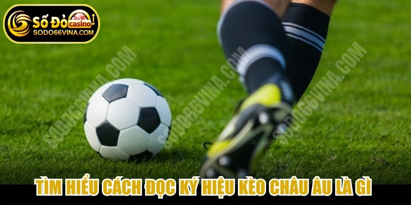 Tìm hiểu cách đọc ký hiệu kèo châu Âu là gì nhằm dự đoán dễ dàng hơn