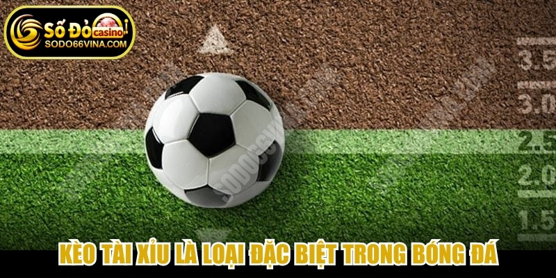 Kèo Tài Xỉu là loại đặc biệt trong bóng đá, không cần quan tâm đội thắng thua