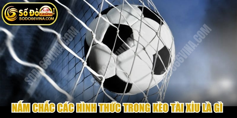 Nắm chắc các hình thức trong kèo Tài Xỉu là gì giúp nâng cao cơ hội thắng
