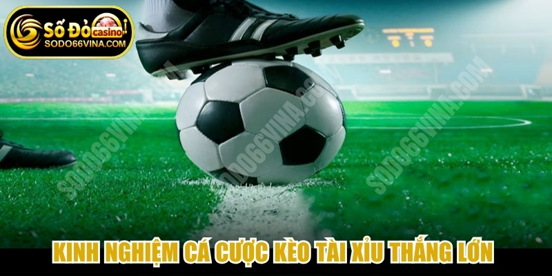 Kinh nghiệm cá cược kèo Tài Xỉu thắng lớn từ chuyên gia lâu năm