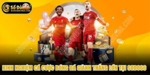 Kinh Nghiệm Cá Cược Bóng Đá