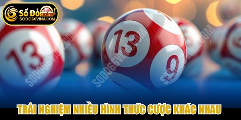 Trải nghiệm nhiều hình thức cược khác nhau để thỏa đam mê